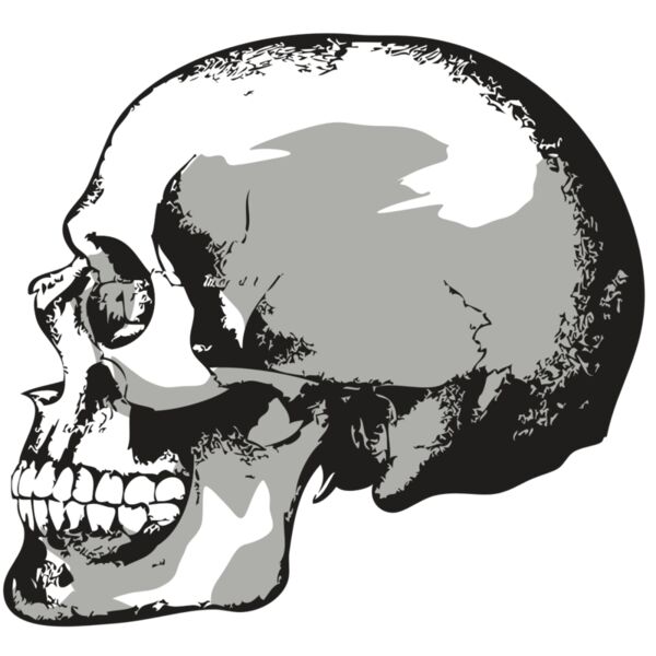 AR24 SKULL 02 RQC Thumbnail